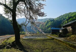 原風景（大野市下山）